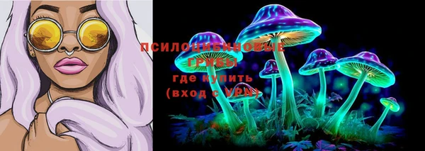 герыч Бугульма