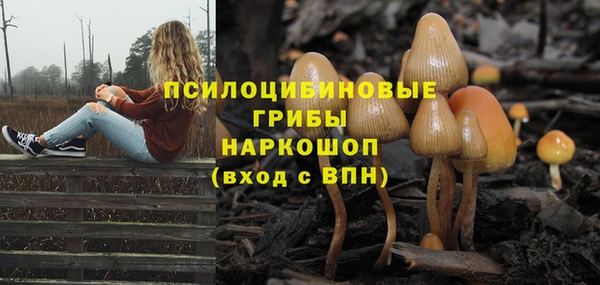 ALPHA-PVP Бородино