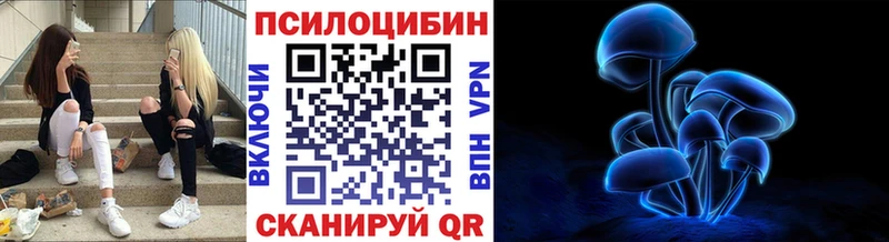 Псилоцибиновые грибы Cubensis  это какой сайт  Верхотурье 